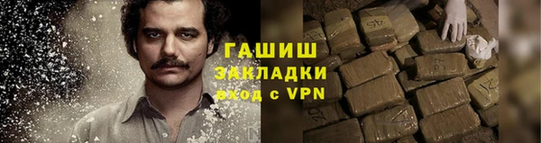 индика Алзамай