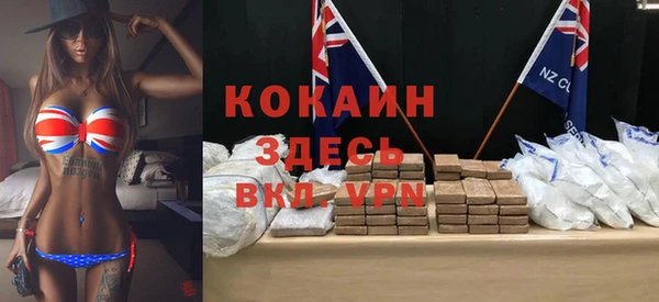 индика Алзамай
