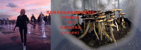каннабис Алексеевка