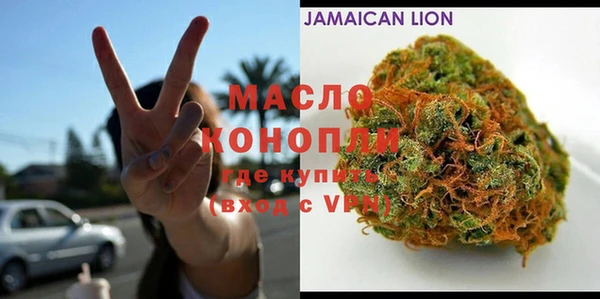 индика Алзамай