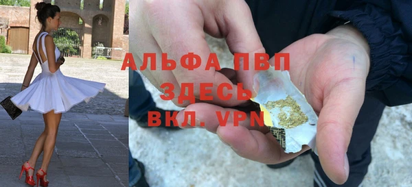 индика Алзамай