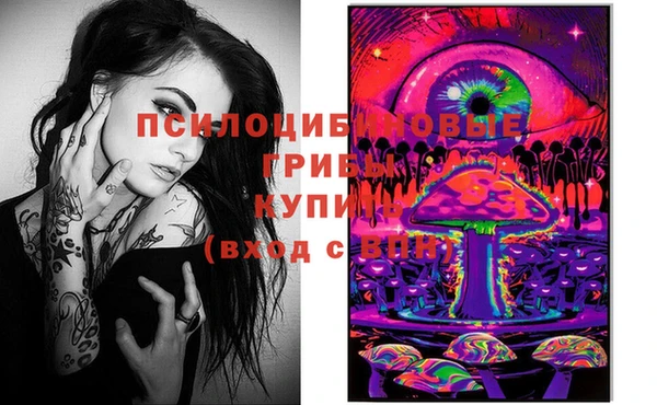 индика Алзамай