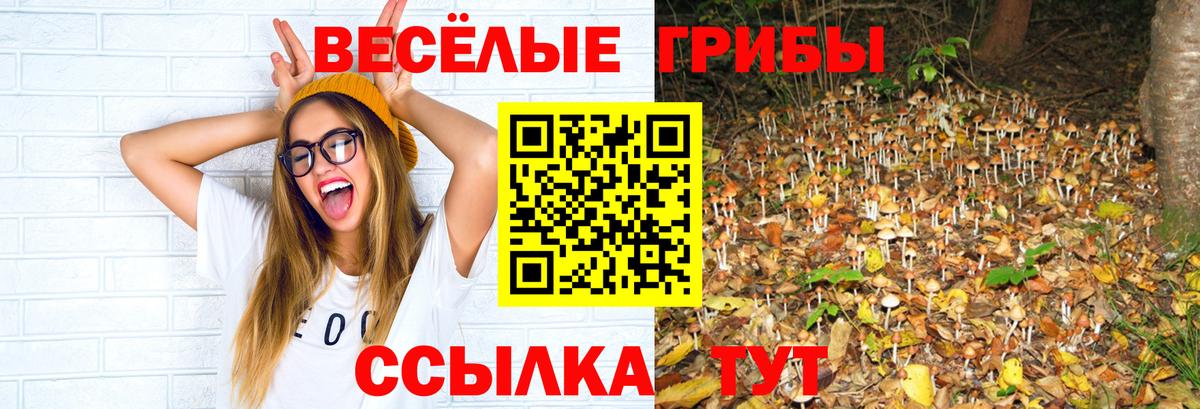 Галлюциногенные грибы ЛСД  Вход с VPN  Дедовск 