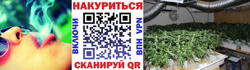 сайты даркнета какой сайт  Дедовск  Бошки марихуана White Widow 